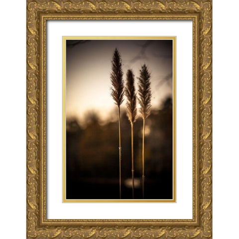 Grasses Trio Gold Ornate Wood Framed Art Print with Double Matting by Taylor, Glenn