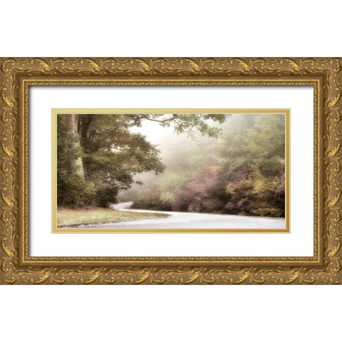 Blue Ridge Parkway Gold Ornate Wood Framed Art Print with Double Matting by Poinski, Dianne