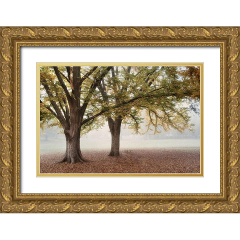 Park 1A Gold Ornate Wood Framed Art Print with Double Matting by Poinski, Dianne