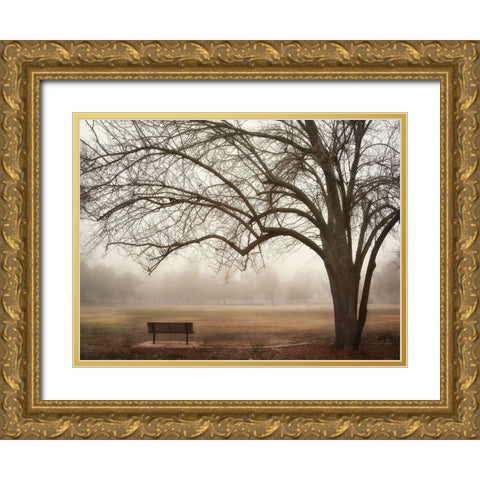 Park 5 Gold Ornate Wood Framed Art Print with Double Matting by Poinski, Dianne