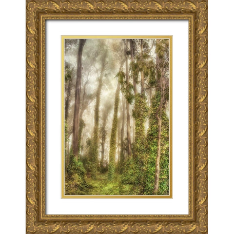 Presidio I Gold Ornate Wood Framed Art Print with Double Matting by Poinski, Dianne