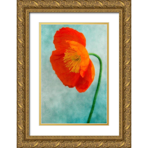 Poppy 3 Gold Ornate Wood Framed Art Print with Double Matting by Poinski, Dianne