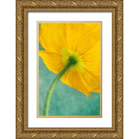 Poppy 5 Gold Ornate Wood Framed Art Print with Double Matting by Poinski, Dianne
