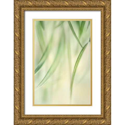 Harmonic 2 Gold Ornate Wood Framed Art Print with Double Matting by Poinski, Dianne