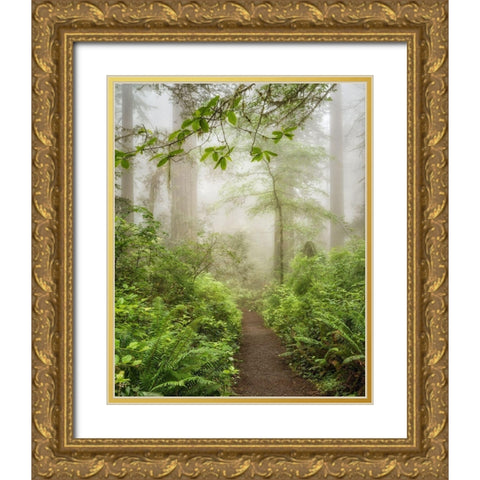 Summer Fog Gold Ornate Wood Framed Art Print with Double Matting by Poinski, Dianne
