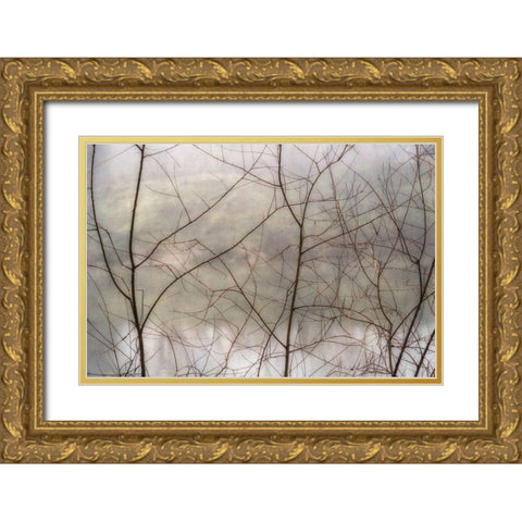 Dew Drops Gold Ornate Wood Framed Art Print with Double Matting by Poinski, Dianne