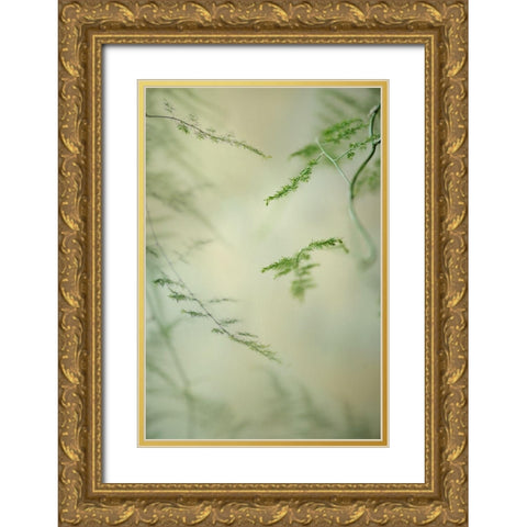 Soft Adagio 1 Gold Ornate Wood Framed Art Print with Double Matting by Poinski, Dianne