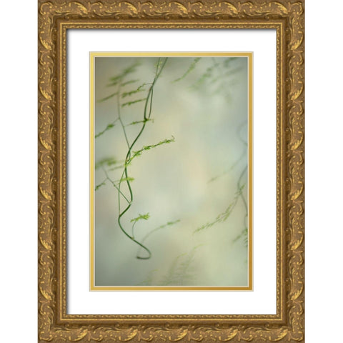 Soft Adagio 2 Gold Ornate Wood Framed Art Print with Double Matting by Poinski, Dianne