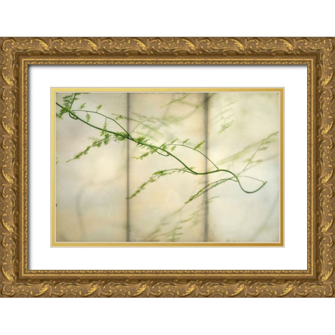 Delicate Light 2 Gold Ornate Wood Framed Art Print with Double Matting by Poinski, Dianne