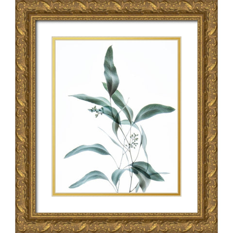 Gentle Botanical 2 Gold Ornate Wood Framed Art Print with Double Matting by Poinski, Dianne