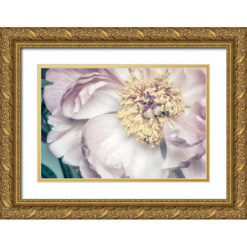 Dusty Bloom 1 Gold Ornate Wood Framed Art Print with Double Matting by Poinski, Dianne