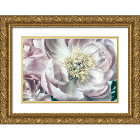 Dusty Bloom 2 Gold Ornate Wood Framed Art Print with Double Matting by Poinski, Dianne