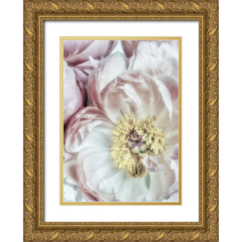 Dusty Bloom 3 Gold Ornate Wood Framed Art Print with Double Matting by Poinski, Dianne