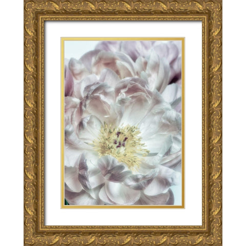 Dusty Bloom 4 Gold Ornate Wood Framed Art Print with Double Matting by Poinski, Dianne