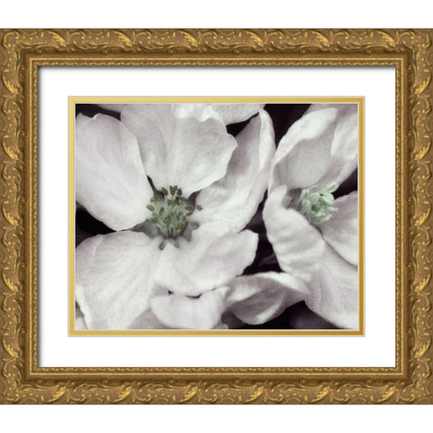 Soft Blossoms I Gold Ornate Wood Framed Art Print with Double Matting by Poinski, Dianne