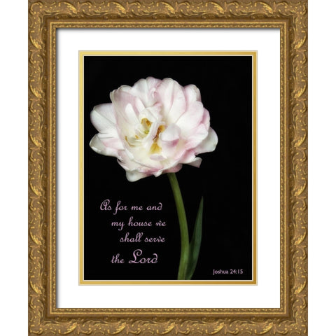 Perfect Petals 2 Gold Ornate Wood Framed Art Print with Double Matting by Poinski, Dianne