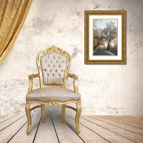 The Road Less Traveled 2 Gold Ornate Wood Framed Art Print with Double Matting by Poinski, Dianne
