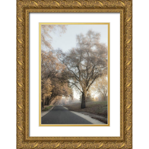The Road Less Traveled 2 Gold Ornate Wood Framed Art Print with Double Matting by Poinski, Dianne