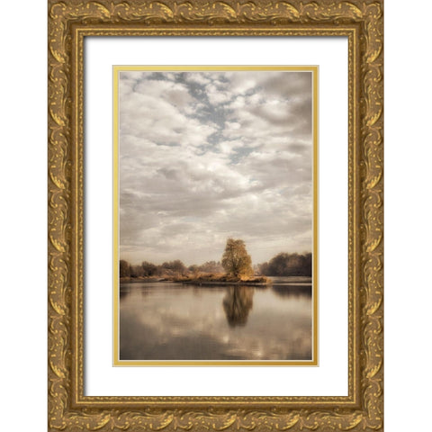 Reflect 1 Gold Ornate Wood Framed Art Print with Double Matting by Poinski, Dianne