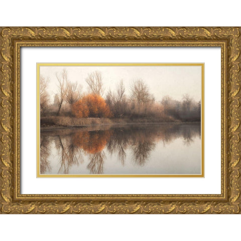Fire Fall 2 Gold Ornate Wood Framed Art Print with Double Matting by Poinski, Dianne