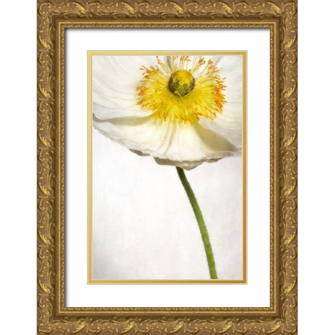 Alabaster Flutter 2 Gold Ornate Wood Framed Art Print with Double Matting by Poinski, Dianne