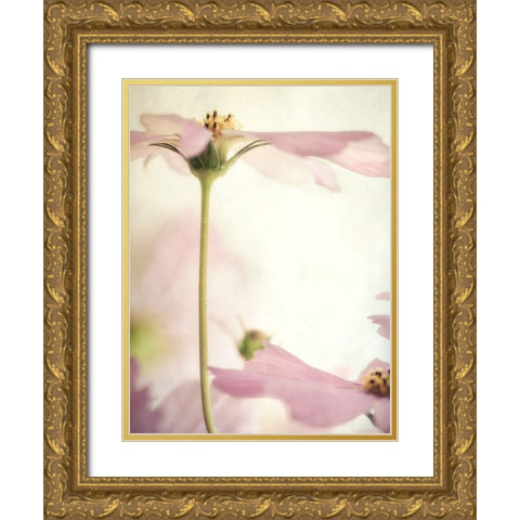 Petite Blush 4 Gold Ornate Wood Framed Art Print with Double Matting by Poinski, Dianne