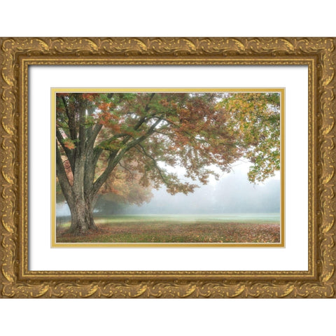 The Meadow 1 Gold Ornate Wood Framed Art Print with Double Matting by Poinski, Dianne