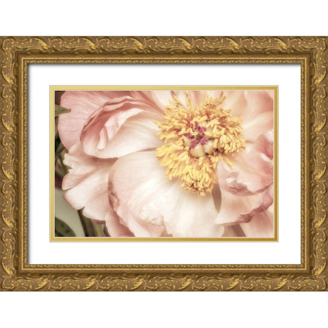 Vincinal Bloom 1 Gold Ornate Wood Framed Art Print with Double Matting by Poinski, Dianne