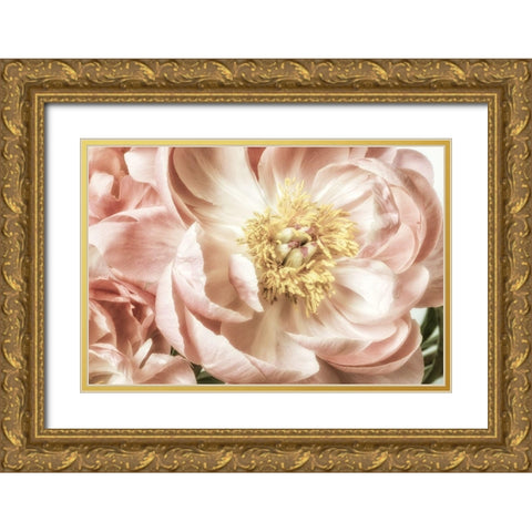 Vincinal Bloom 2 Gold Ornate Wood Framed Art Print with Double Matting by Poinski, Dianne