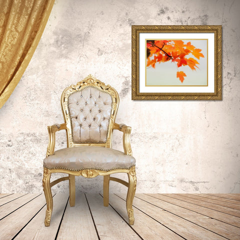 Red Branch 1 Gold Ornate Wood Framed Art Print with Double Matting by Poinski, Dianne