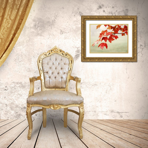 Red Branch 3 Gold Ornate Wood Framed Art Print with Double Matting by Poinski, Dianne