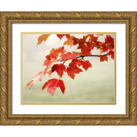 Red Branch 3 Gold Ornate Wood Framed Art Print with Double Matting by Poinski, Dianne