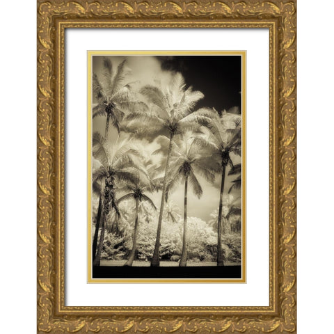 White Palms 1 Gold Ornate Wood Framed Art Print with Double Matting by Poinski, Dianne