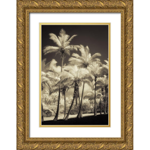 White Palms 2 Gold Ornate Wood Framed Art Print with Double Matting by Poinski, Dianne