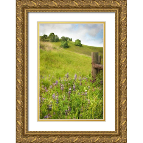 Wildflower Hill 4 Gold Ornate Wood Framed Art Print with Double Matting by Poinski, Dianne