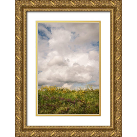 Blue Sky Vista 1 Gold Ornate Wood Framed Art Print with Double Matting by Poinski, Dianne