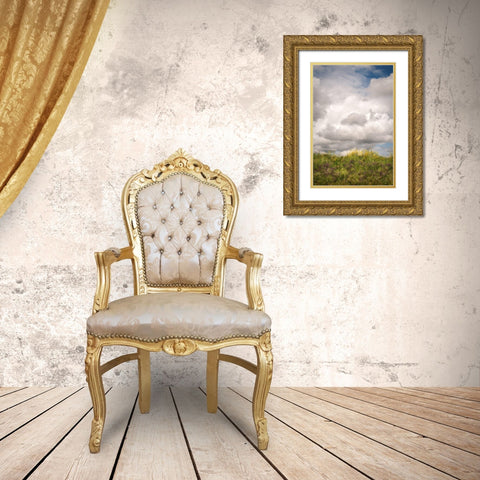 Blue Sky Vista 2 Gold Ornate Wood Framed Art Print with Double Matting by Poinski, Dianne