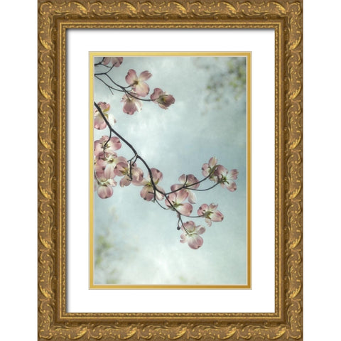 Pale Petals 3 Gold Ornate Wood Framed Art Print with Double Matting by Poinski, Dianne