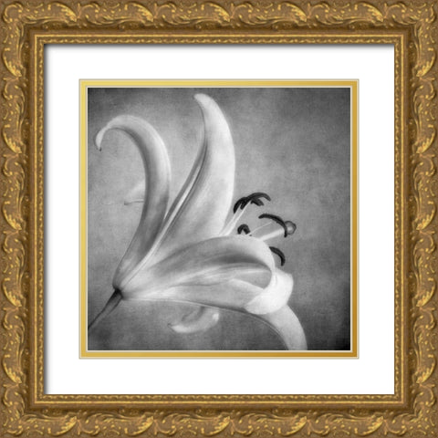 Black and White Lily 5 Gold Ornate Wood Framed Art Print with Double Matting by Poinski, Dianne