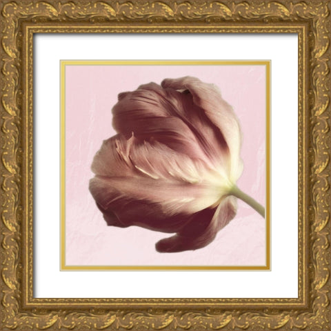 Burgundy  Tulip 2 Gold Ornate Wood Framed Art Print with Double Matting by Pearson, Debbie