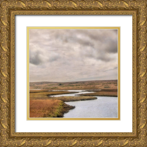 Estuary I Gold Ornate Wood Framed Art Print with Double Matting by Poinski, Dianne