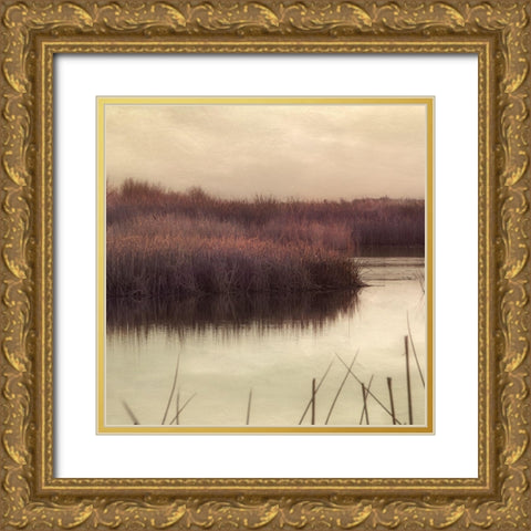 Wetlands Marsh 2 Gold Ornate Wood Framed Art Print with Double Matting by Poinski, Dianne