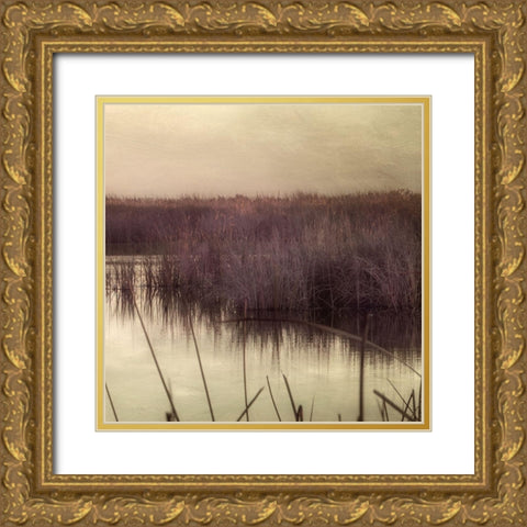 Wetlands Marsh 3 Gold Ornate Wood Framed Art Print with Double Matting by Poinski, Dianne