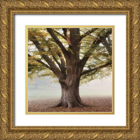 Oak Tree 1 Gold Ornate Wood Framed Art Print with Double Matting by Poinski, Dianne