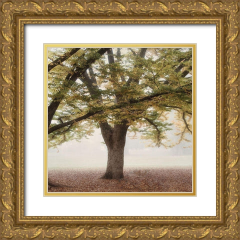 Oak Tree 2 Gold Ornate Wood Framed Art Print with Double Matting by Poinski, Dianne
