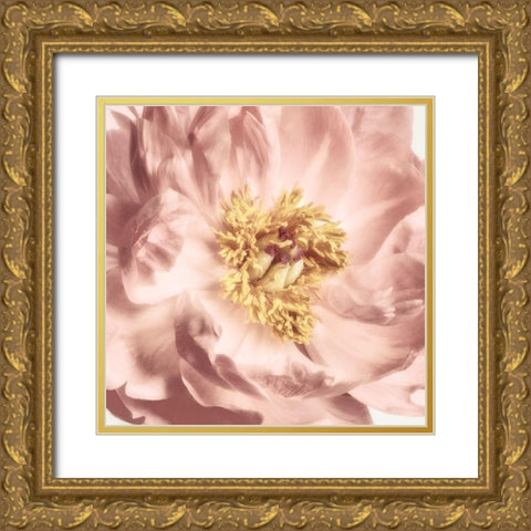 Burgundy Bloom 2 Gold Ornate Wood Framed Art Print with Double Matting by Pearson, Debbie