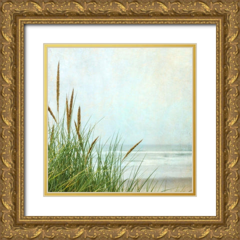 North Coast Dunes 1 Gold Ornate Wood Framed Art Print with Double Matting by Poinski, Dianne