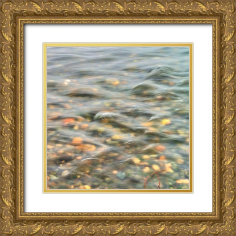 Riverrock 1 Gold Ornate Wood Framed Art Print with Double Matting by Poinski, Dianne