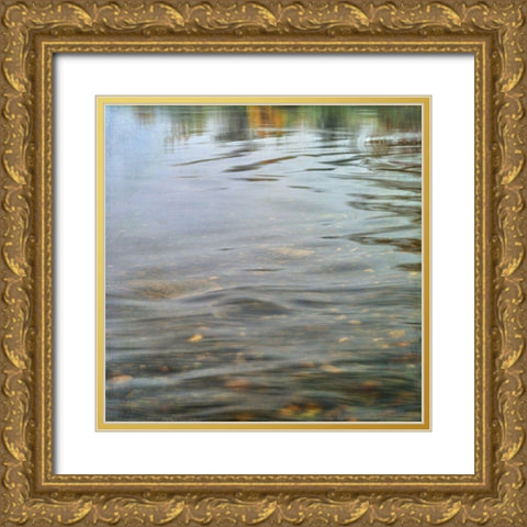 Riverrock 2 Gold Ornate Wood Framed Art Print with Double Matting by Poinski, Dianne