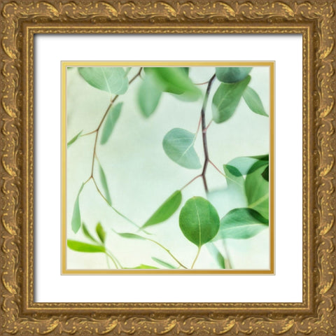 Summer Radiance 2 Gold Ornate Wood Framed Art Print with Double Matting by Poinski, Dianne